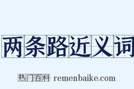 两条路近义词是什么意思的图片